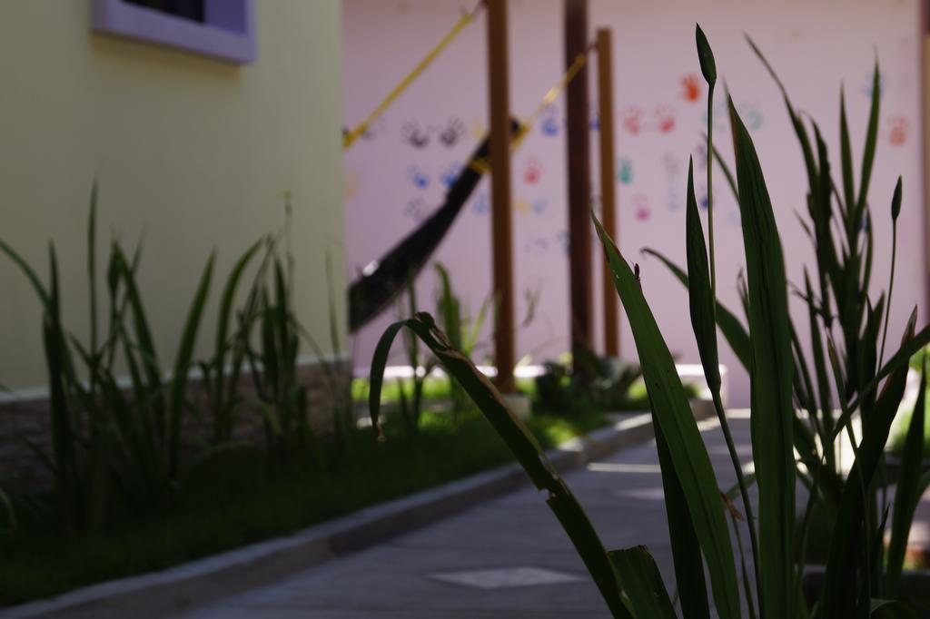 Hotel Kekoldi De Granada Zewnętrze zdjęcie